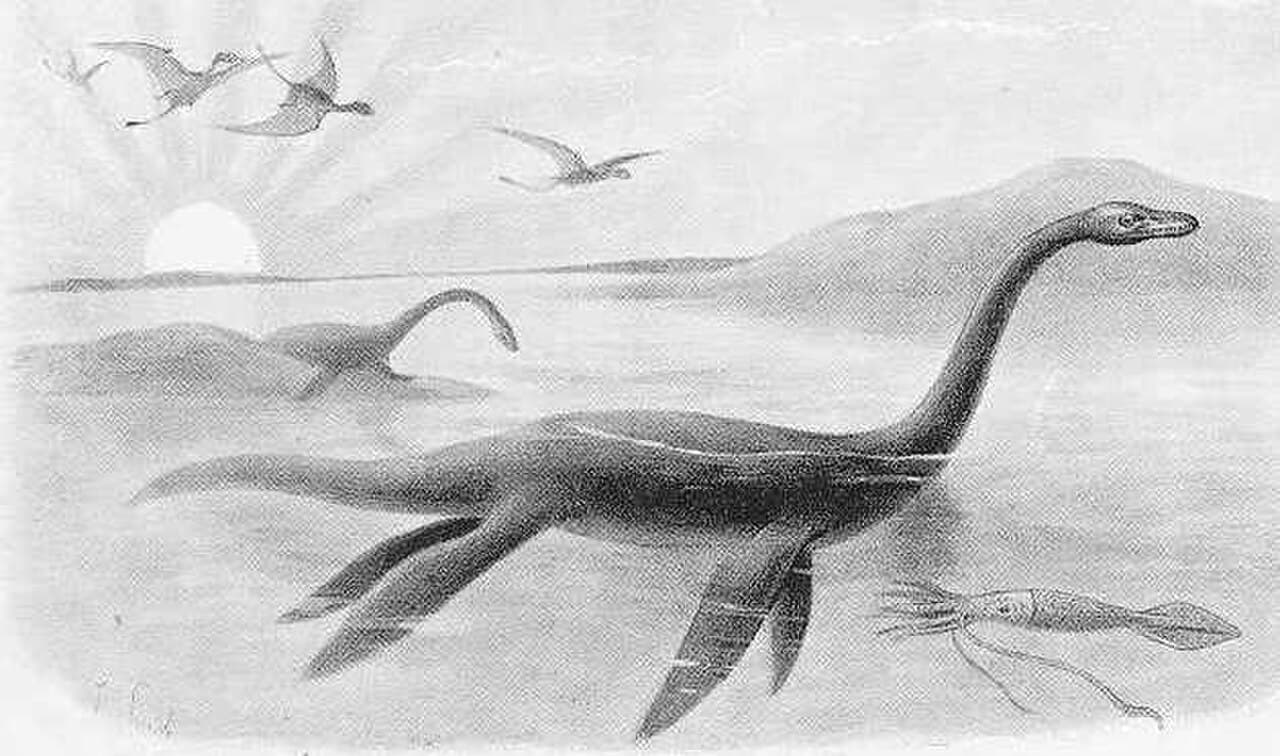 A complete Plesiosaurus skeleton of the kind Anning excavated. Her 1823 specimen was so different from any living animal that Cuvier initially declared it a fake.