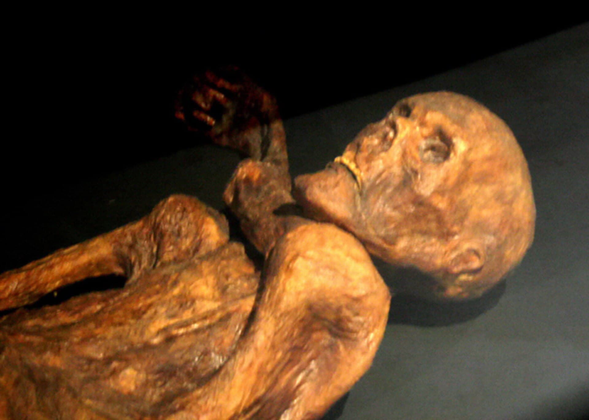 Ötzi: the 5,300-year-old man whose last 48 hours we have reconstructed