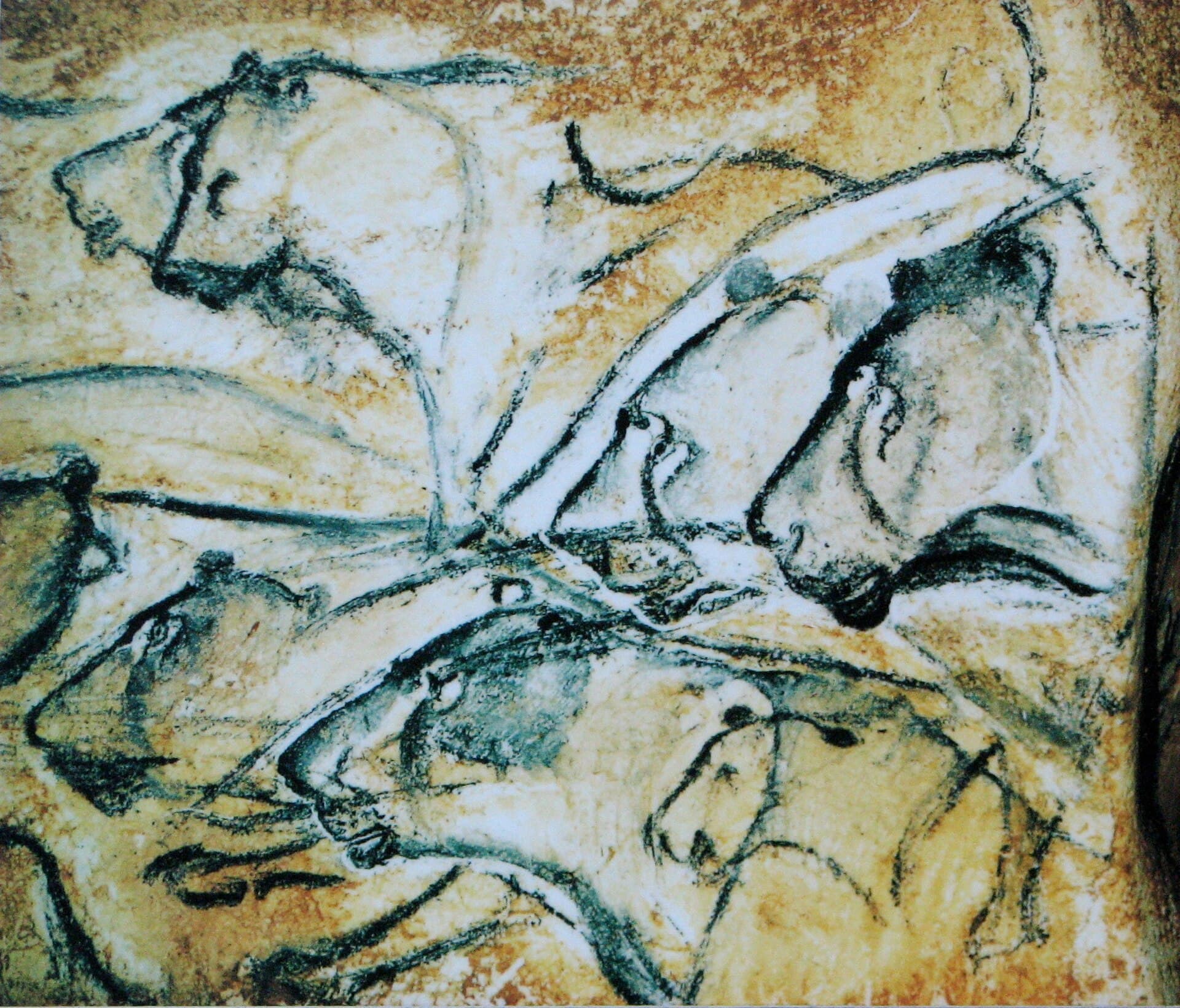 The Chauvet cave paintings are 36,000 years old and depict animals correctly