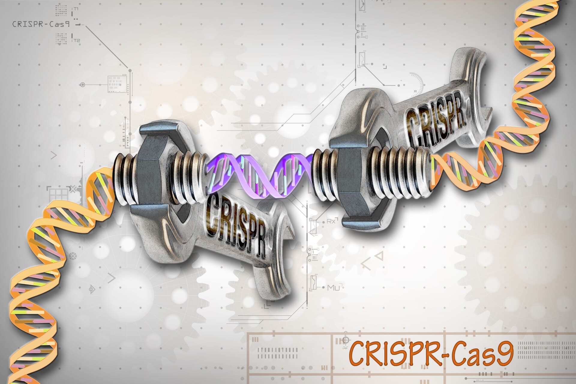 CRISPR was a bacterial immune system before it was a tool