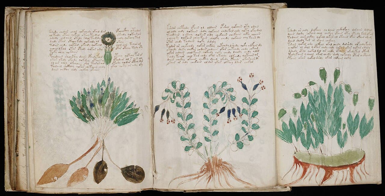A page from the Voynich Manuscript, in the unidentified script known as Voynichese.