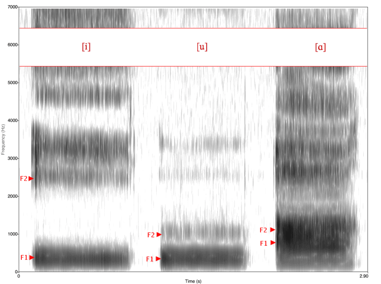 The phonetic surface of speech is the part of language laid down earliest in childhood — and pruned most aggressively at puberty.