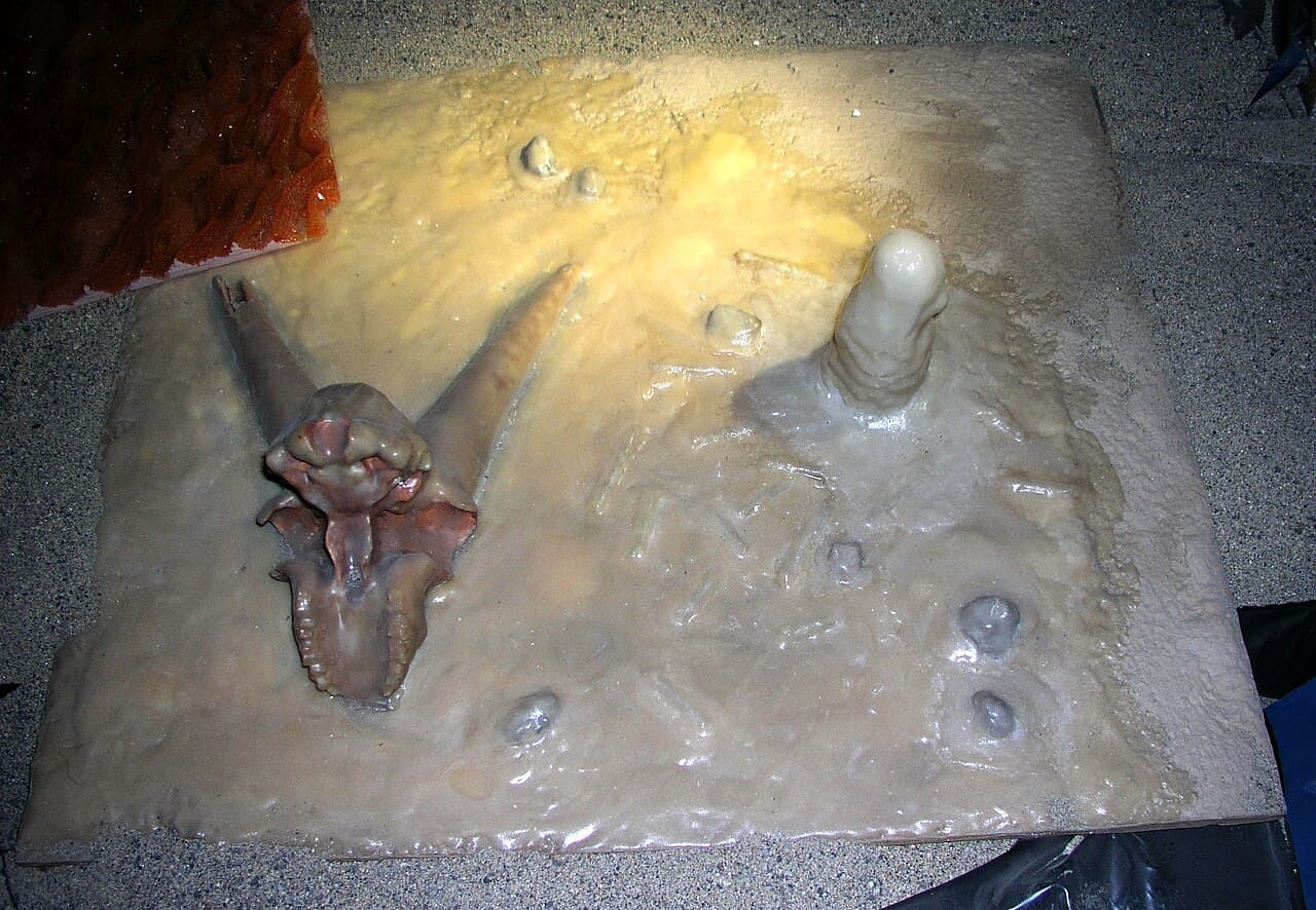 The Caverne du Pont d'Arc, the full-scale replica opened in 2015 two kilometres from the sealed original cave.