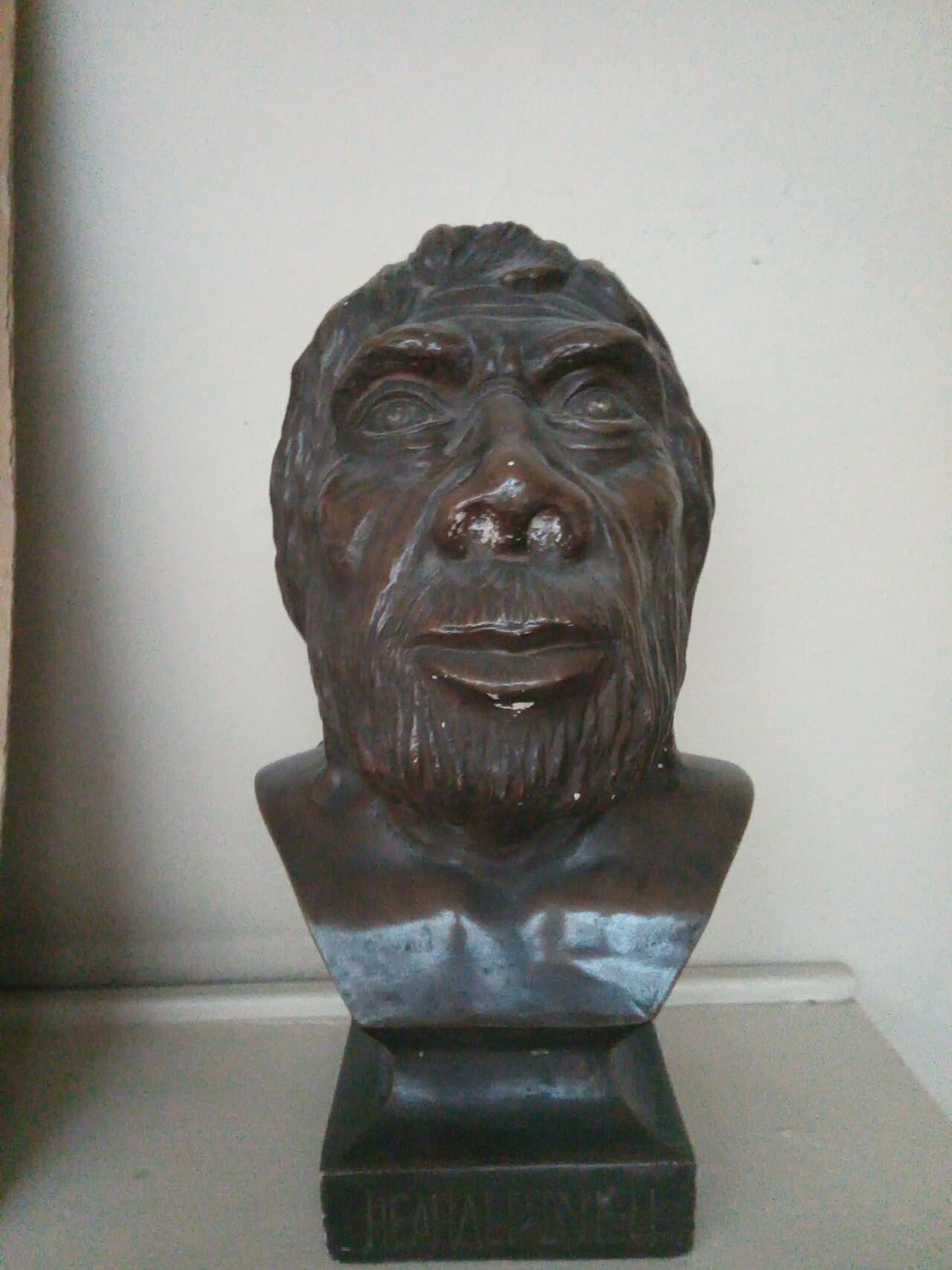 A reconstructed Homo neanderthalensis at the Smithsonian. Modern non-African humans carry 1.5–2.6% Neanderthal DNA.